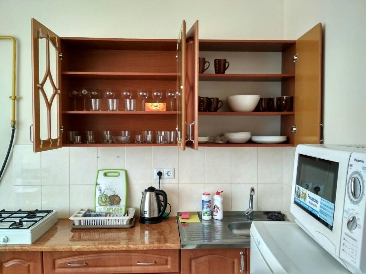 Apartments Domovik Просторная Квартира С Видом На Горы Moukatcheve Extérieur photo